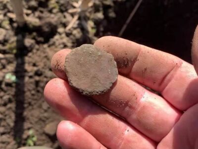 Back out with the Simplex