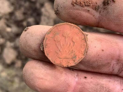 Back out with the Simplex