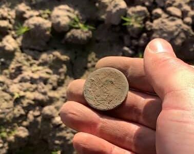 Back out with the Simplex