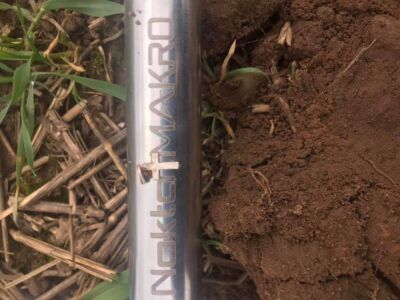 Best I Could Do Today