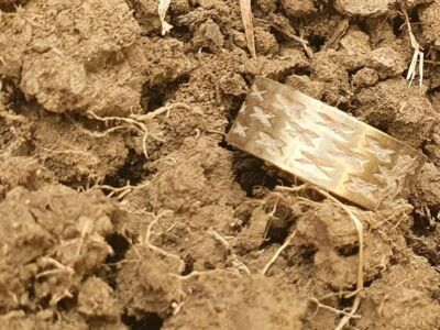 Nokta Makro Invenio on a quick weekend hunt