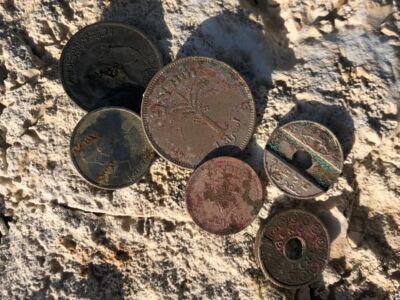 Anfibio Multi beach hunt 2021-03-31