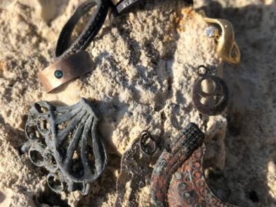 Anfibio Multi beach hunt 2021-03-31