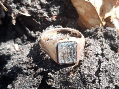 Gold and silver in the woods