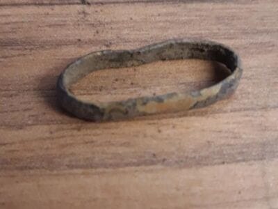 Gold and silver in the woods