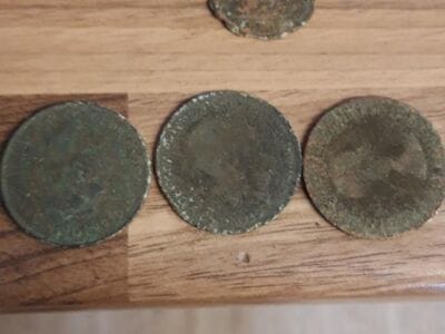 Gold and silver in the woods