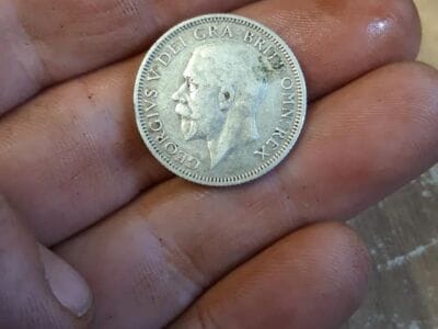 Gold and silver in the woods