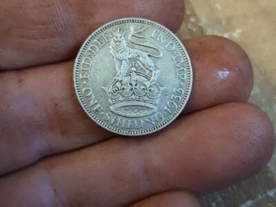 Gold and silver in the woods