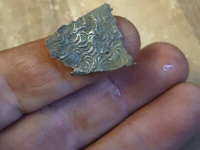 Gold and silver in the woods