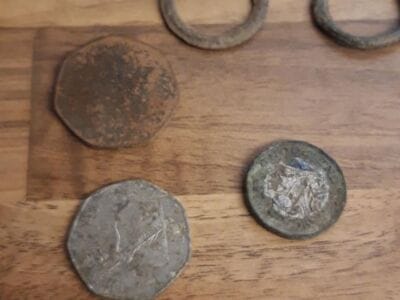 Gold and silver in the woods