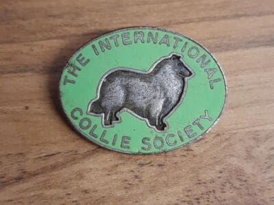 Gold and silver in the woods