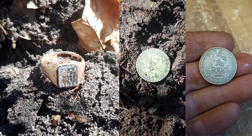 Gold and silver in the woods