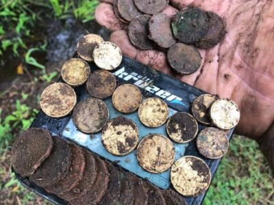 I Enjoyed Another Fun Hunt This Morning