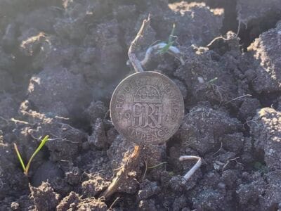 Absolutely Love This Machine