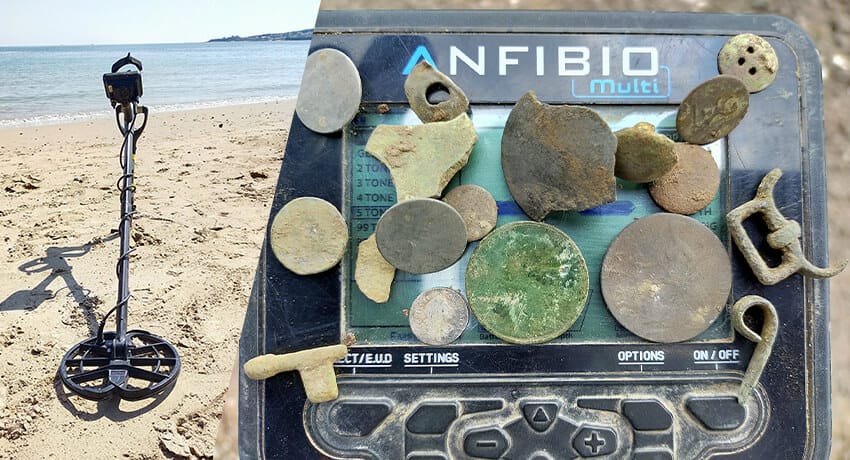 Found on the beach and in the field with the Anfibio