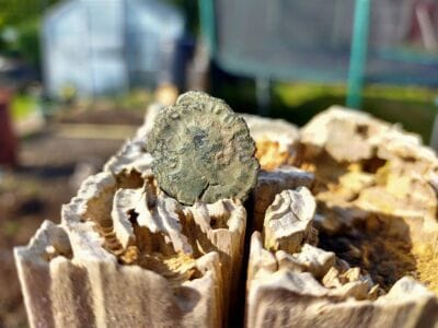 Harsh Digging Weather Hot And Cold