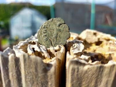 Harsh Digging Weather Hot And Cold