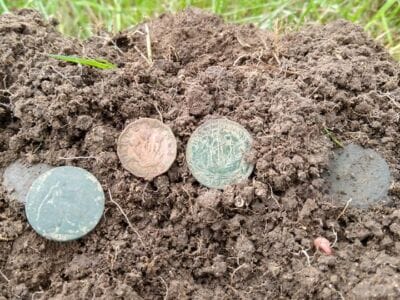 Good Afternoons On A Manor House Park - 3