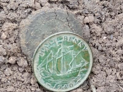 Good Afternoons On A Manor House Park - 4