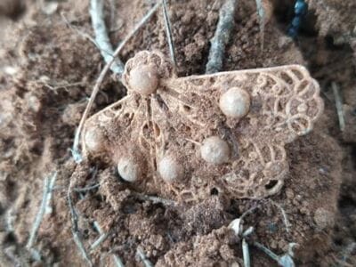 Hairpin Found with Simplex Detector - 1