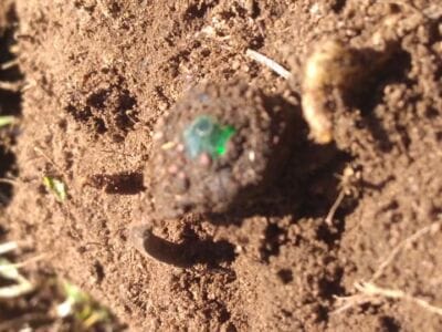 Low Tone Day On The Field Of Dreams