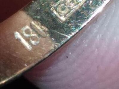 This Came Out This Afternoon In Punta Lara - 4