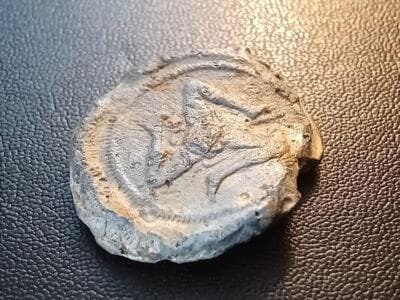 A Combination Of Multi Kruzer & Simplex+ - 4