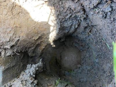 Cannonballs From 1799 - 1