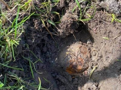 Cannonballs From 1799 - 2