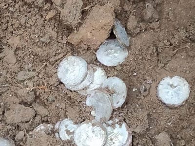 The Best Selling Detector Of The Year Continues To Astonish - 3