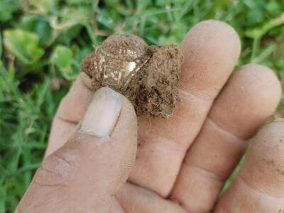 This Machine Is Killin It - 2