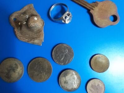 Pulled This Beauty Out Of The Ground Today - 3