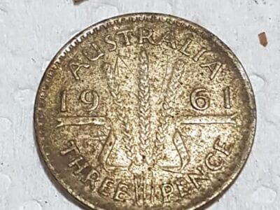 The Haul From Today's Hunt - 2