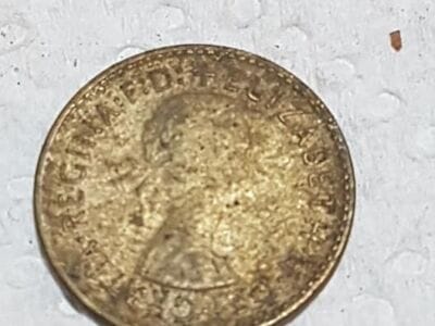 The Haul From Today's Hunt - 3