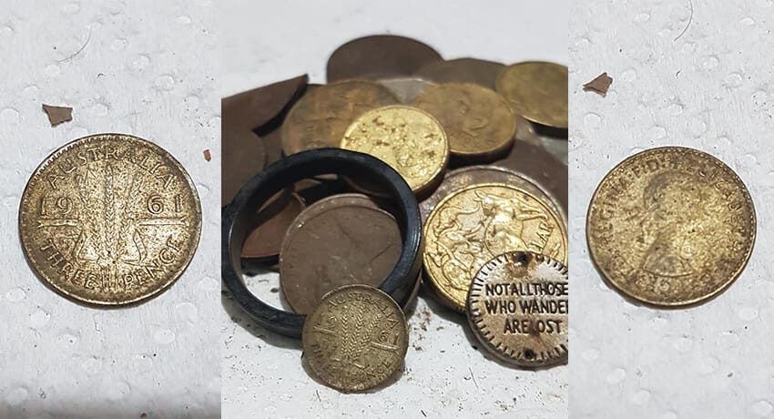 The Haul From Today's Hunt - Cover