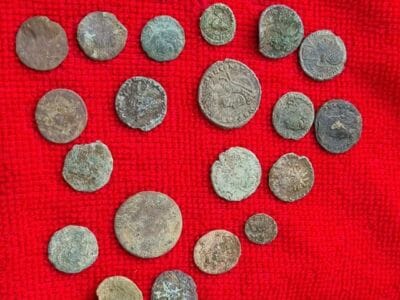 A Very Fruitful Day With The Anfibio Multi! - 2