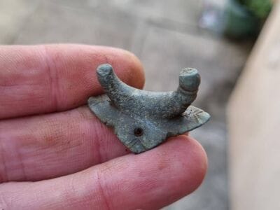 A Very Fruitful Day With The Anfibio Multi! - 5