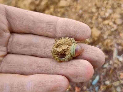 Found A Beautiful Ring With My Kruzer - 1