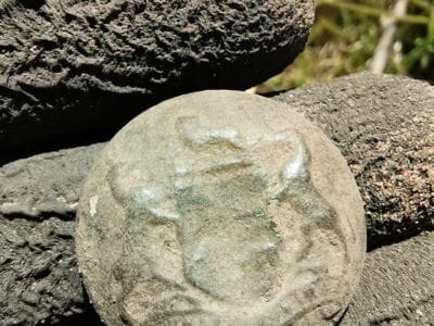 Finds On Short Hunt On Our Property - 1