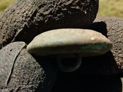 Finds On Short Hunt On Our Property - 3