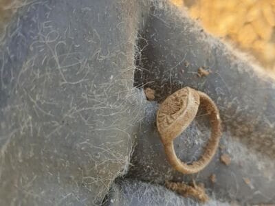 Hit A Aut Corn Field Today - 1