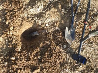 Hit A Aut Corn Field Today - 2