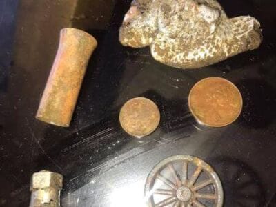 The Haul From My Mums Garden - 1