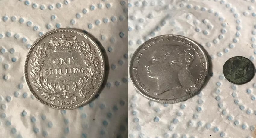 Hi Found This Vicky Shilling 1855 - Cover