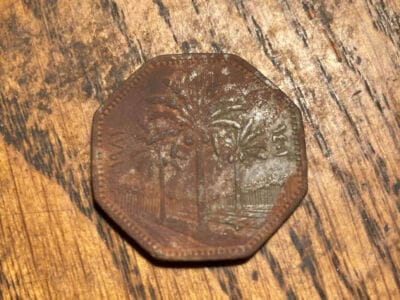 This Morning A Lot Finds - 3