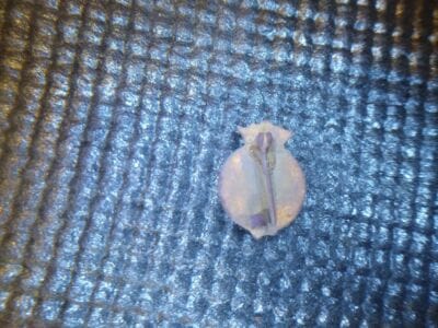 Baptist Sunday School Attendance Pin - 3