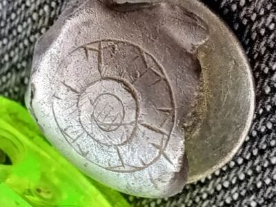 Found This Silver Button With Simplex+ - 1