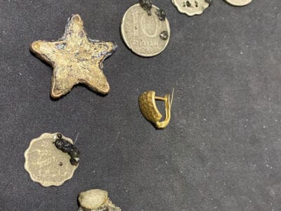 Gold Earring Found On The Beach - 1