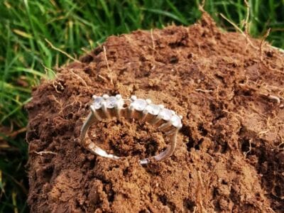 My Favourite The WW1 Victory Medal - 6