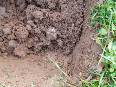 Silver Horse Shoe Ring With Simplex+ - 2